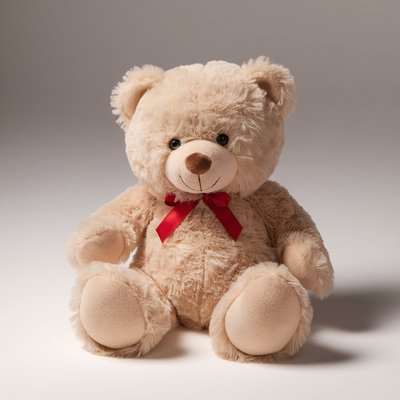 Plush Teddy Bear