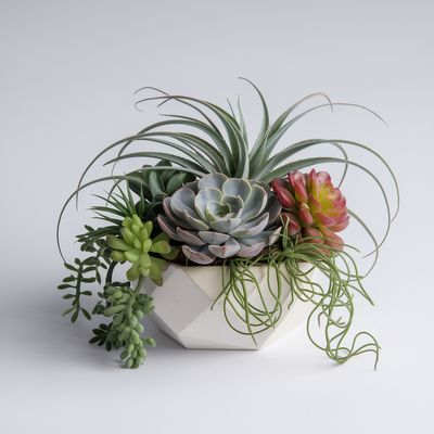 Contemporary Trendy Mix