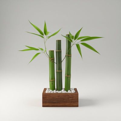 Plants Collection on FlowersSweden.com